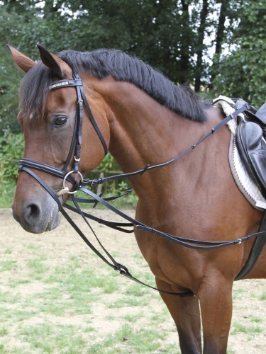 Triangular reins Kerbl