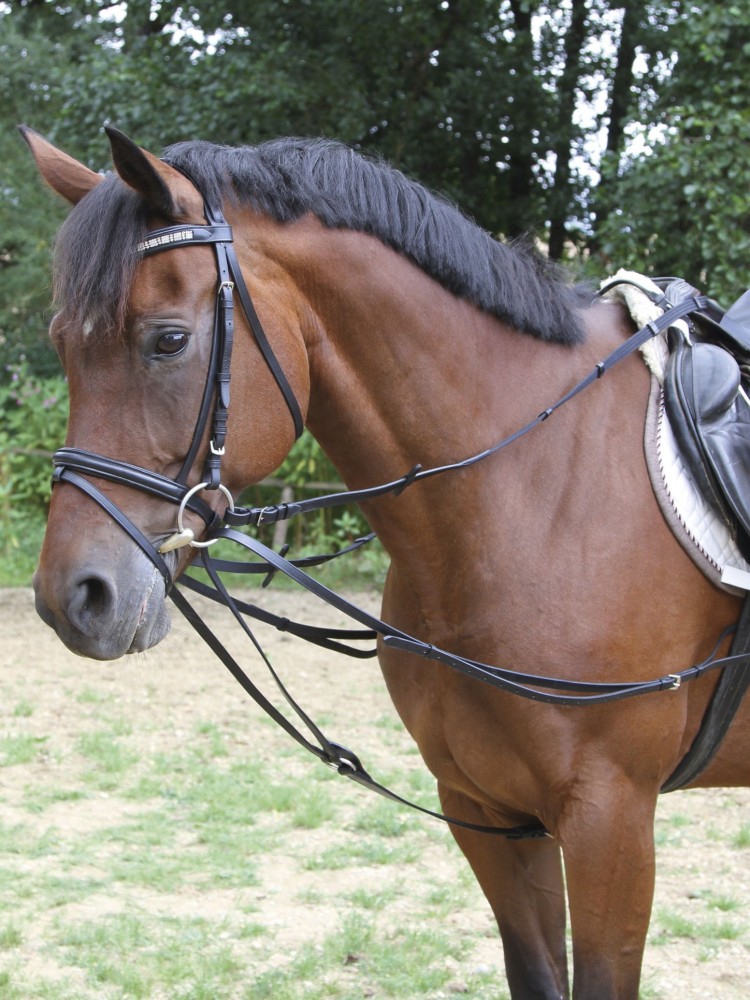 Triangular reins Kerbl