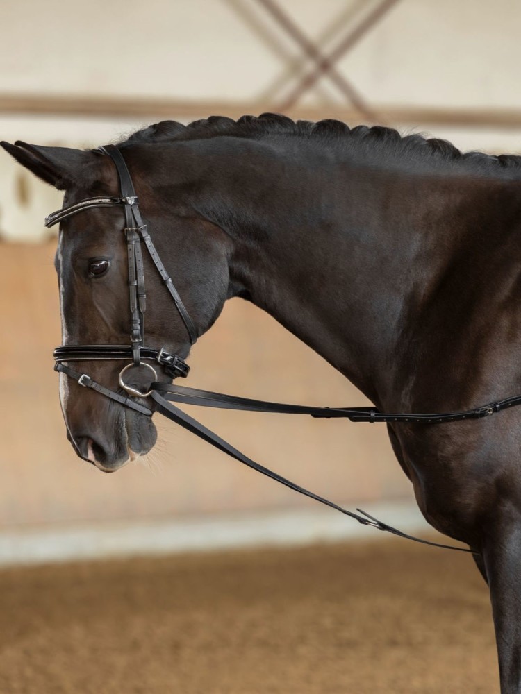 Triangular reins Kerbl