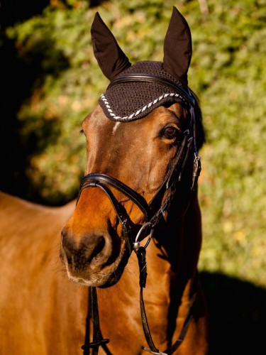 Fly veil Classic Covalliero