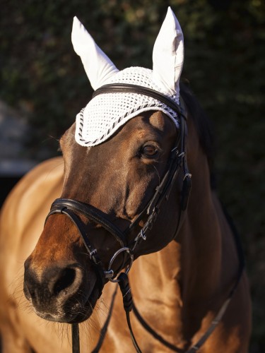 Fly veil Classic Covalliero