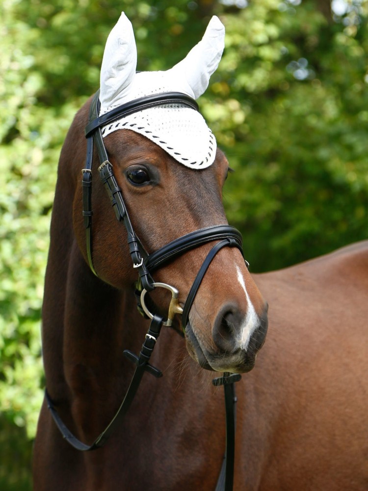 Fly veil Classic Covalliero