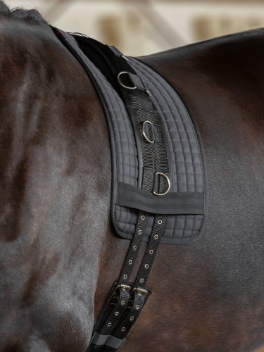 Lunging girth Kerbl