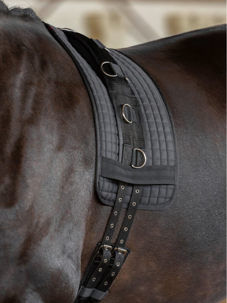 Lunging girth Kerbl