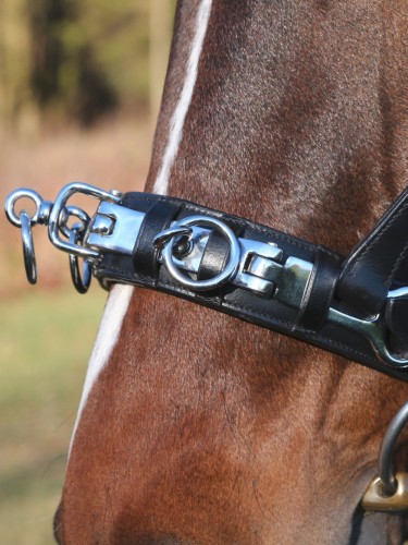 Cavesson Leather Exklusiv Covalliero