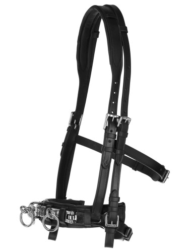 Cavesson Leather Exklusiv Covalliero