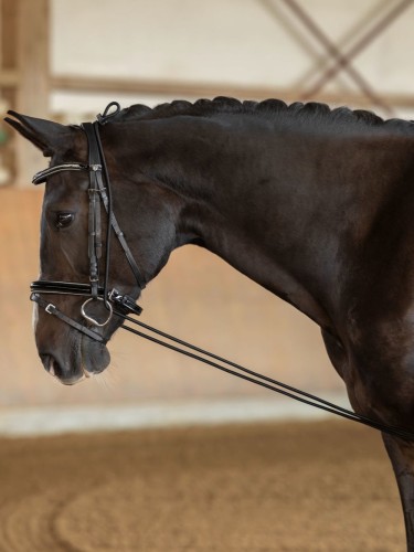 Neck extender Kerbl