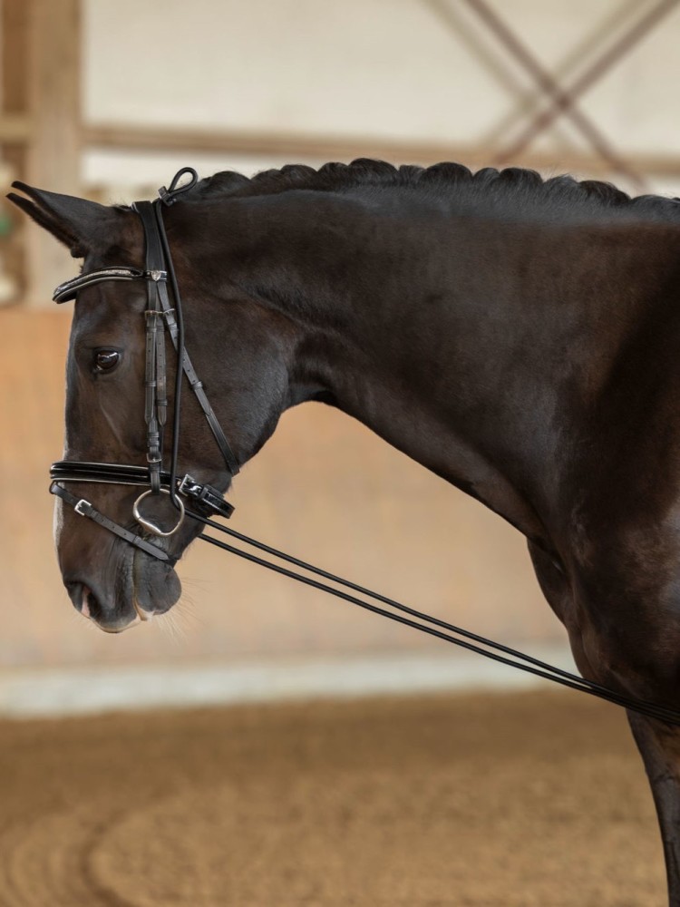 Neck extender Kerbl