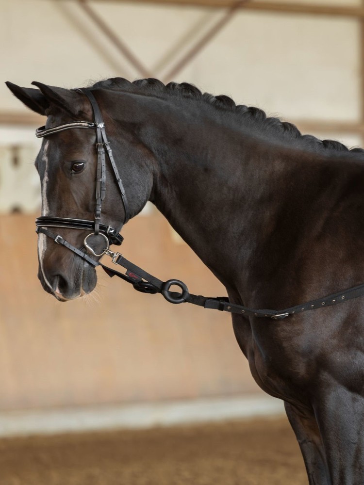 Side reins Kerbl