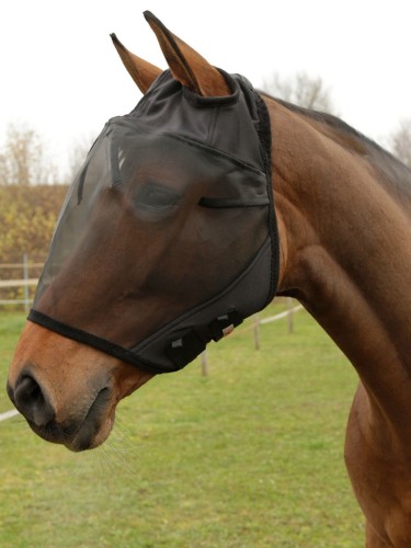 Fly mask with Ear Cutouts Covalliero