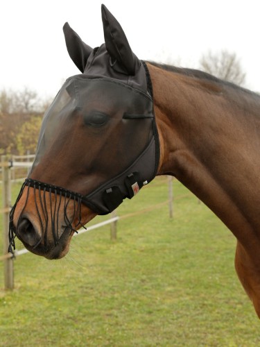 Fly mask with ear protection Nose Cord Covalliero