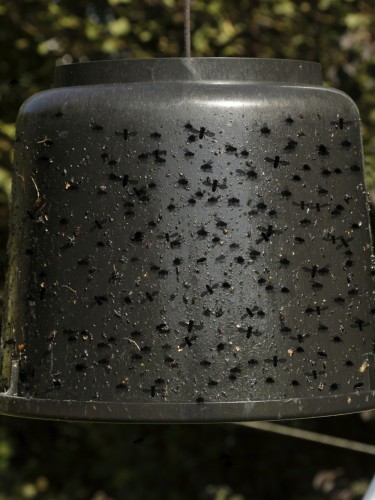 Bucket for Horsefly Glue Kerbl