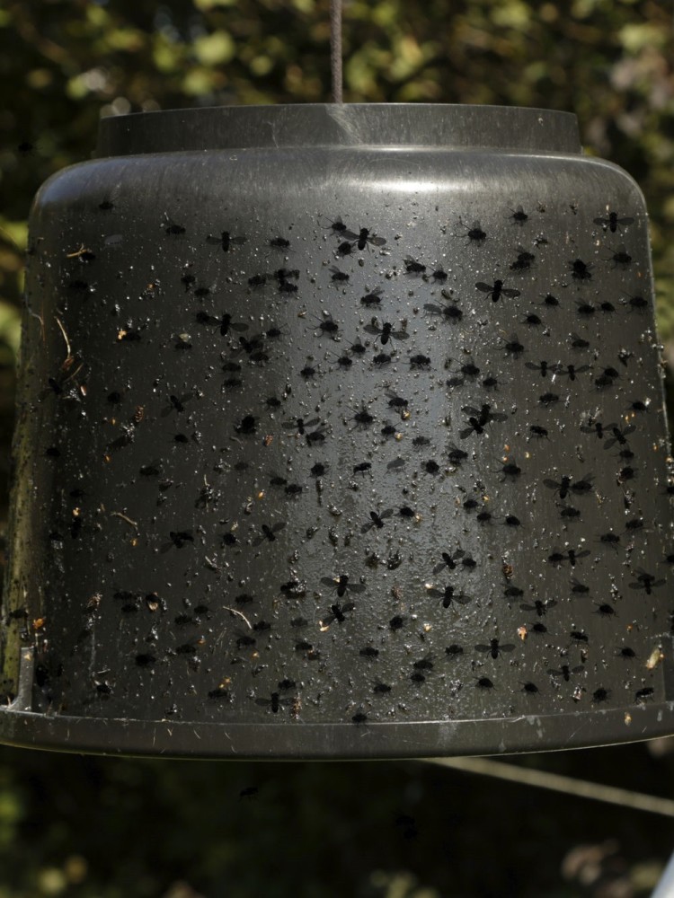 Bucket for Horsefly Glue Kerbl