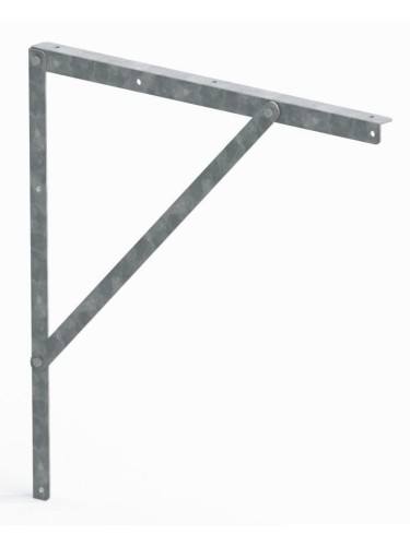 Wall Mount for TaonX