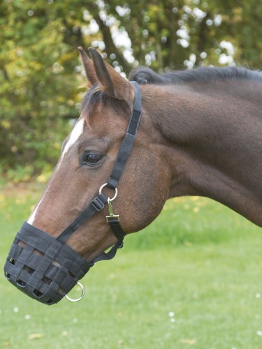 Muzzle Kerbl
