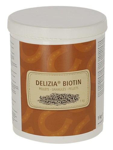 Biotin Pellets Delizia® 1kg
