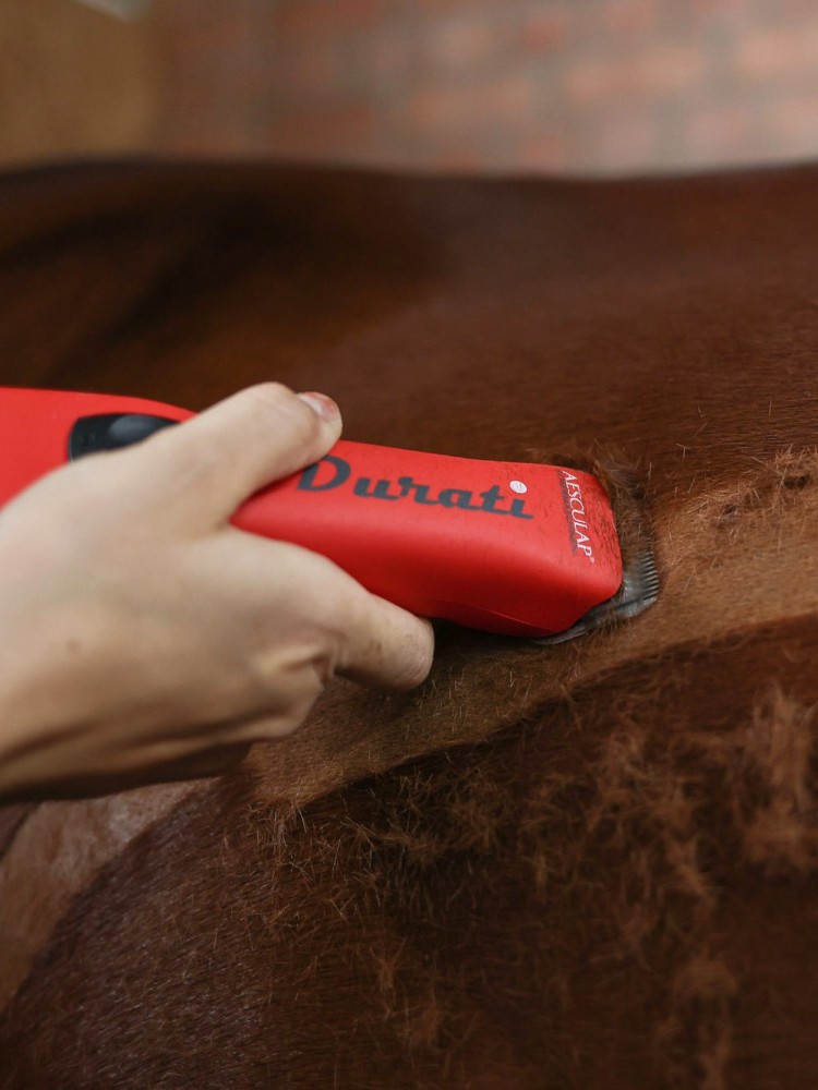 Cordless clipper Durati with 2 batteries Aesculap