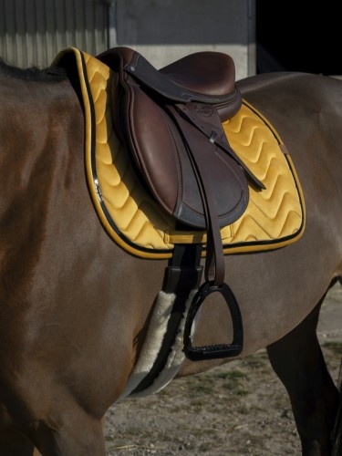 Saddle pad Glossy Equitheme