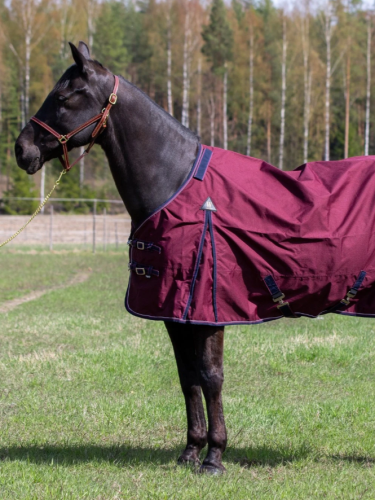 Turnout rug Drop 0g 600D Wahlstén