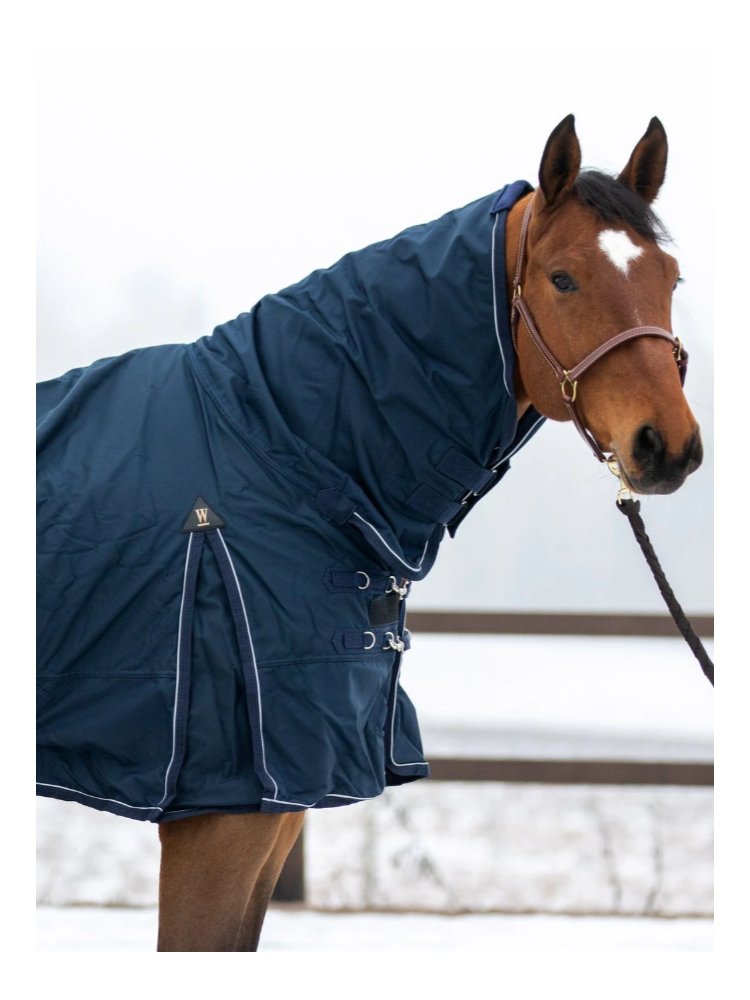 Fullneck rug Storm 100g 1680D Wahlstén
