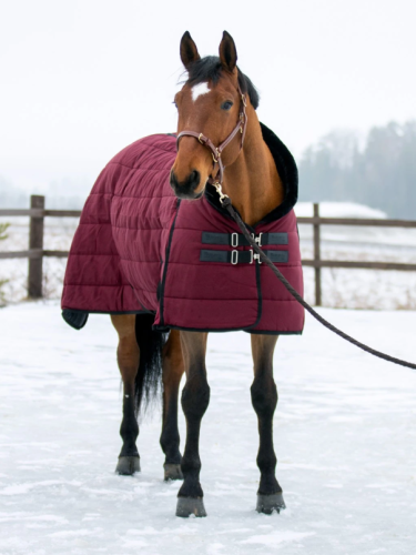 Stable rug Leona 200g Wahlstén