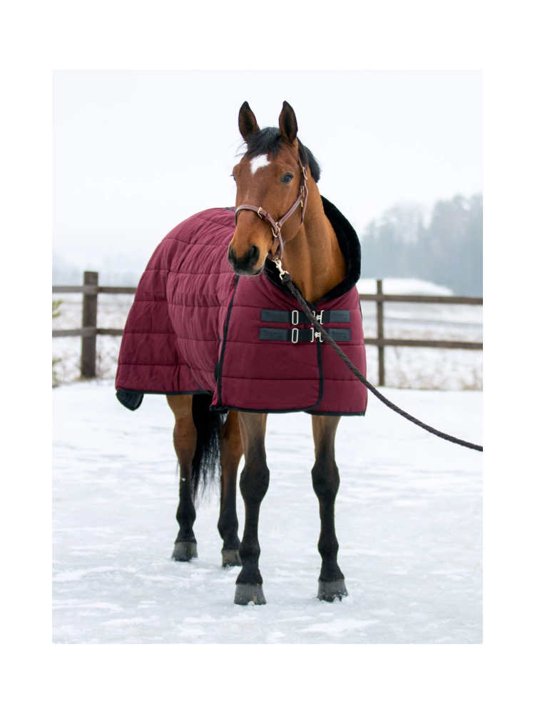 Stable rug Leona 200g Wahlstén