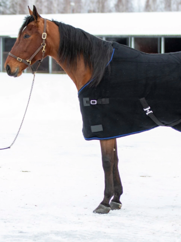 Wool rug Svart Heavy Wool black-navy Wahlstén
