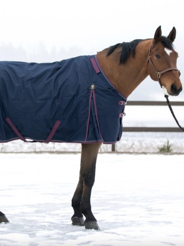 Turnout rug Rain 100g 600D Wahlstén