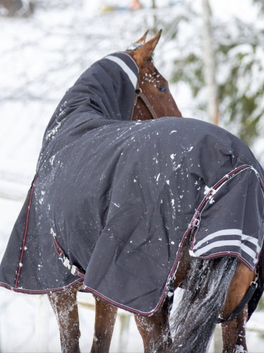 Fullneck rug Ultimate Warm 150g 1200D Wahlstén