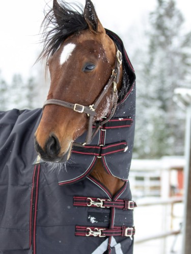 Fullneck rug Ultimate Warm 150g 1200D Wahlstén