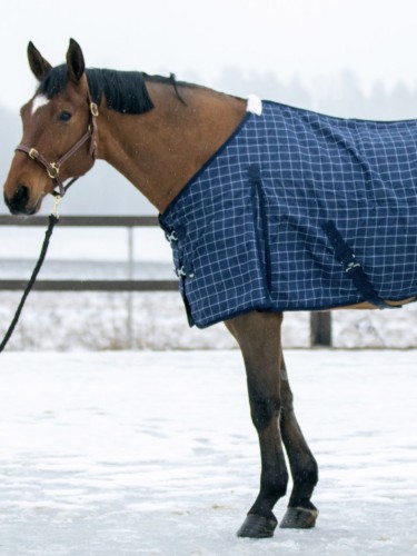 Stable rug Check 100g Wahlstén