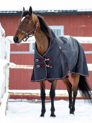 Highneck rug Trot Light 150g 1200D Wahlstén