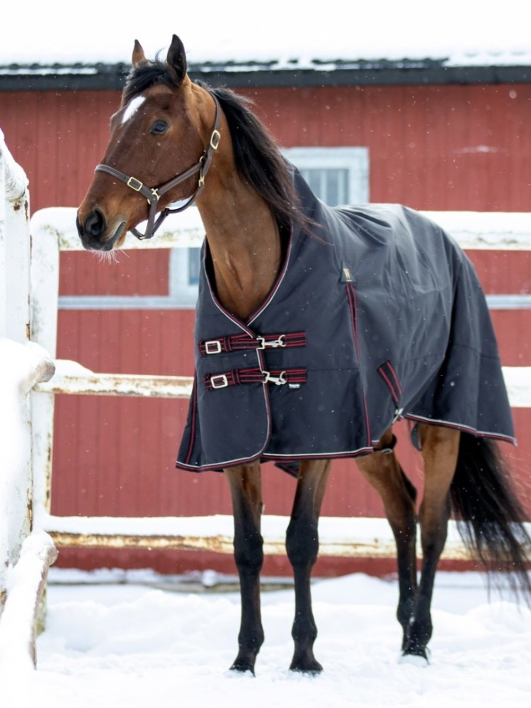 Highneck rug Trot Light 150g 1200D Wahlstén