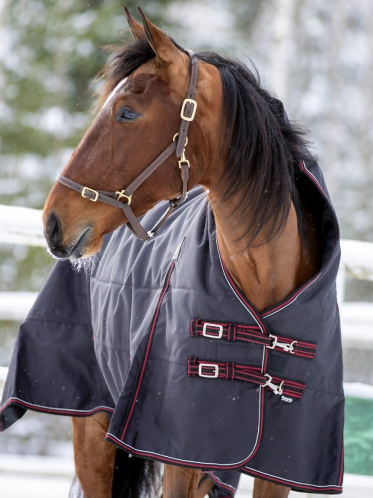 Highneck rug Trot Light 150g 1200D Wahlstén