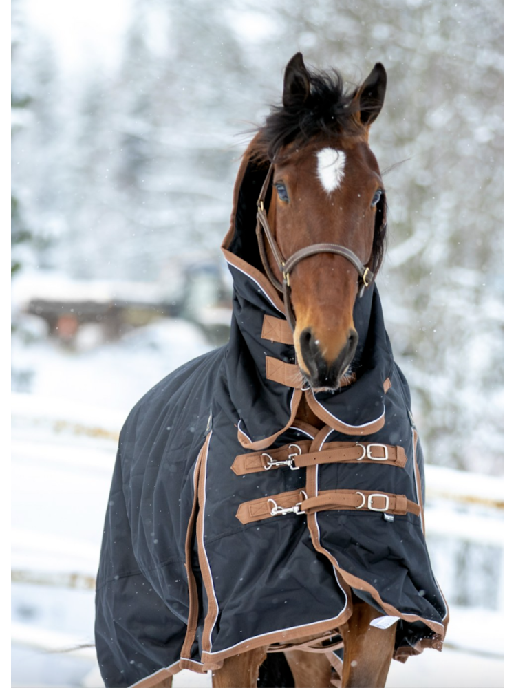 Fullneck turnout rug FullRain 600D 100g Wahlstén