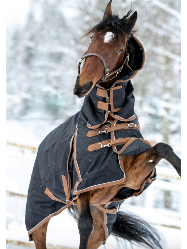 Fullneck turnout rug FullRain 600D 100g Wahlstén