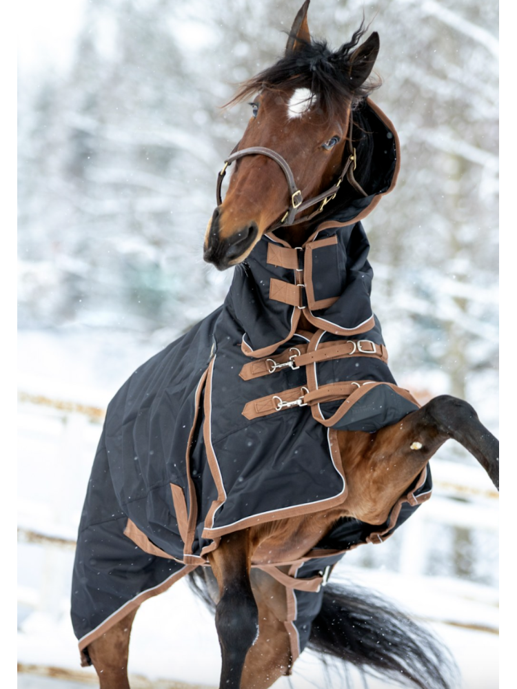 Fullneck turnout rug FullRain 600D 100g Wahlstén