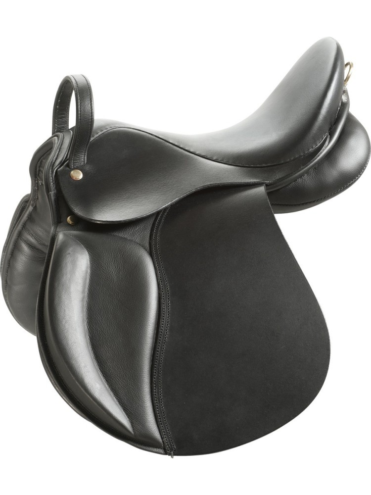 Educative saddle Norton