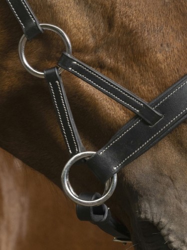 Side-Pull bridle Confort Norton Pro