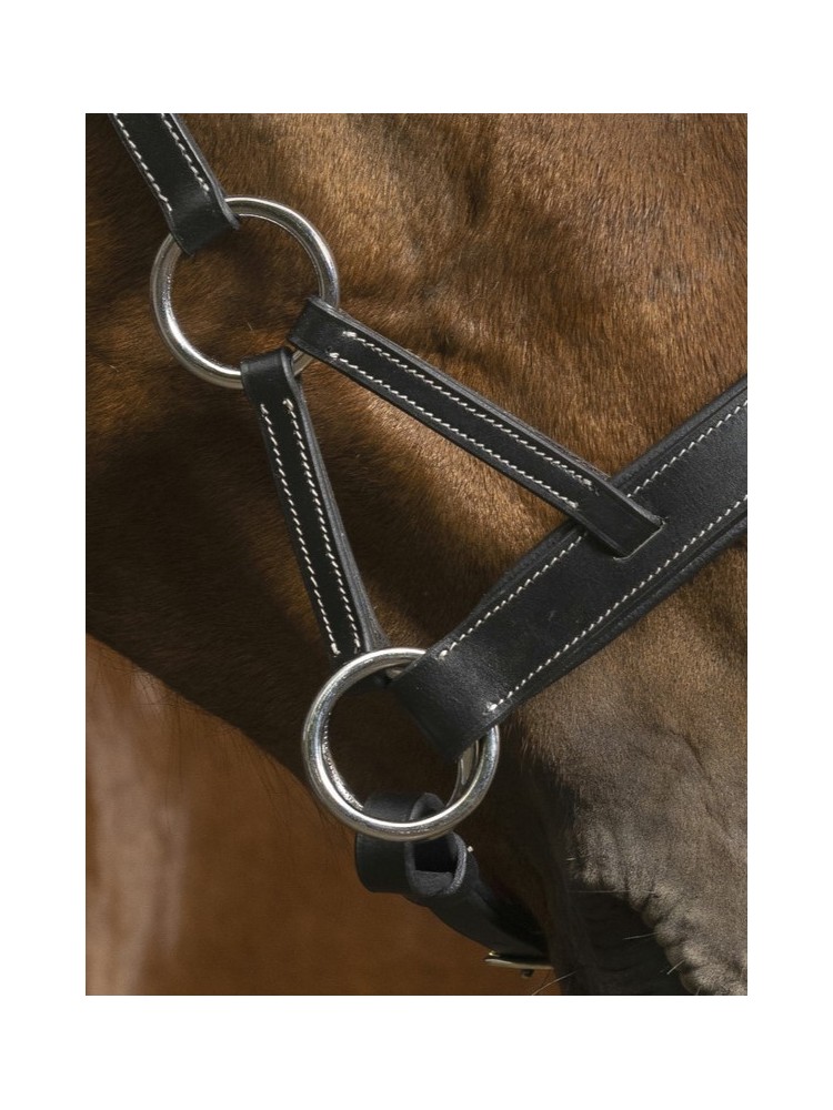 Side-Pull bridle Confort Norton Pro