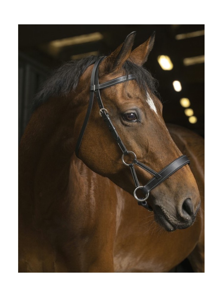 Side-Pull bridle Confort Norton Pro