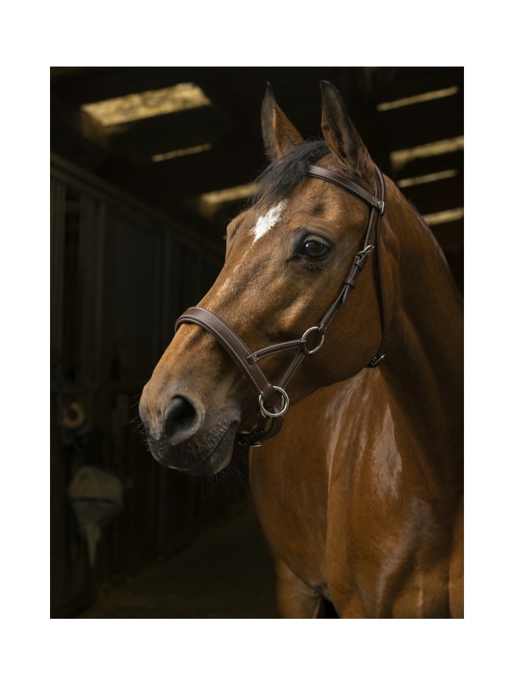 Side-Pull bridle Confort Norton Pro
