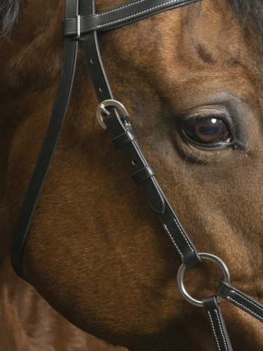 Side-Pull bridle Confort Norton Pro