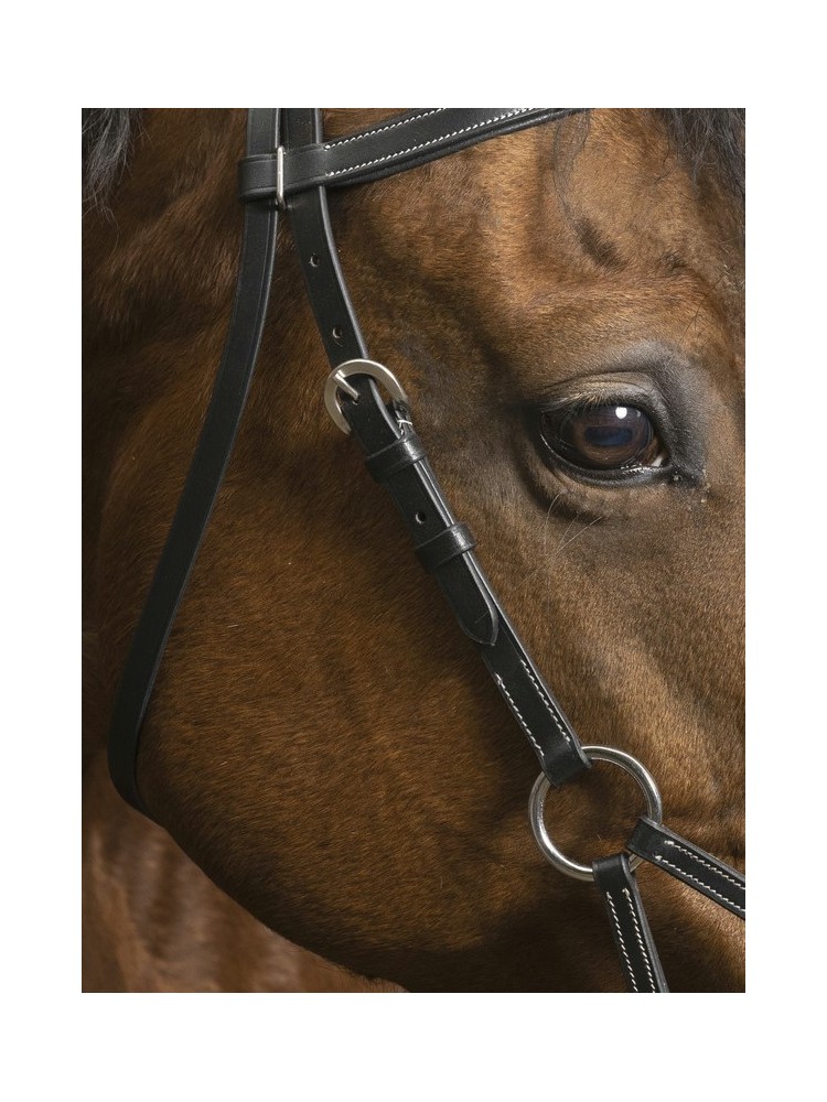Side-Pull bridle Confort Norton Pro
