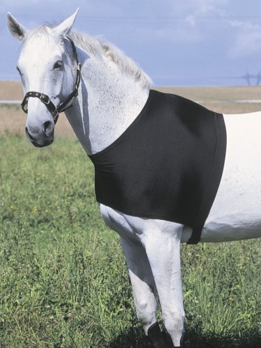 Shoulder Protection Equithéme