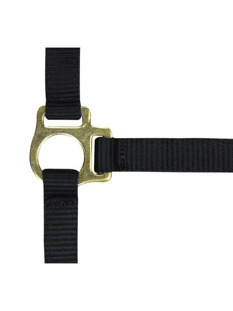 Foal headcollar + lead rope Norton
