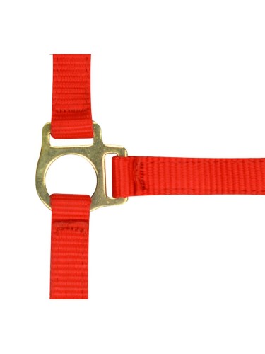 Foal headcollar + lead rope Norton