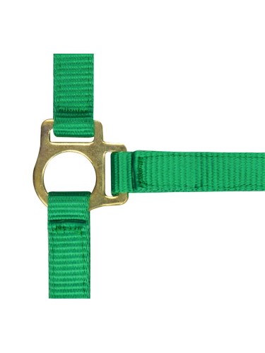 Foal headcollar + lead rope Norton