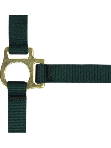 Foal headcollar + lead rope Norton