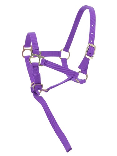 Foal headcollar + lead rope Norton